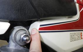 SUZUKI GSX250E 2021 GJ51B