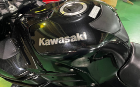 KAWASAKI NINJA ZX-14R 2013 ZXT40E