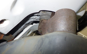 HONDA ZOOMER 2024 AF58