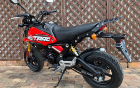 HONDA GROM JC92