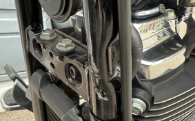 HARLEY  HARLEY FLFBS 2022 YGK