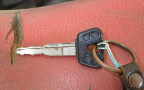 YAMAHA SEROW 225 W 4JG