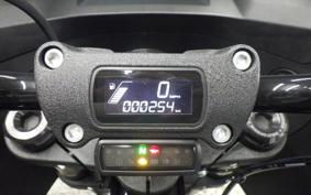 HARLEY FXLRST1920 2024