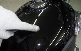 KAWASAKI W800 2025 EJ800E