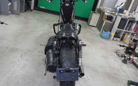 OTHER +HD. XL883N 2009