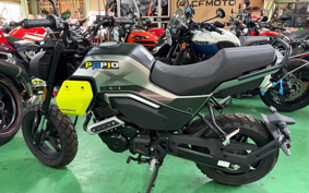 OTHER CFMOTO XO-2 PAPIO