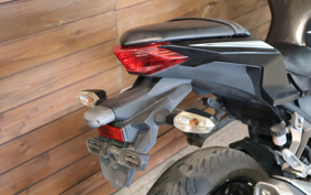 KAWASAKI NINJA 250 EX250L