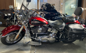 HARLEY FLSTCI 2006 BWB