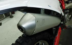 GASGAS EC 250