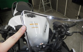 KAWASAKI NINJA1100SX 2025 ZXT10H