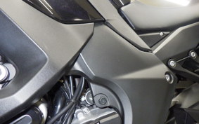 KAWASAKI NINJA 1000SX 2020 ZXT02K