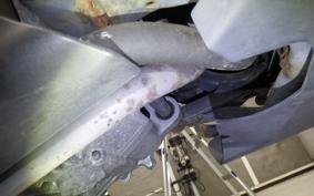 YAMAHA MAJESTY155 S SG28J