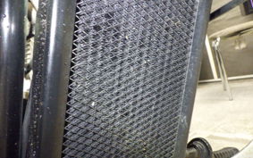 HONDA STEED 400 1996 NC26