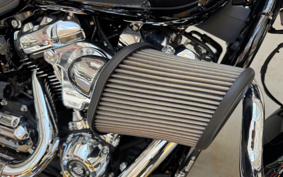 HARLEY  HARLEY FLFBS 2021 YGK