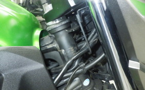 KAWASAKI Z250 A 2021 ER250C