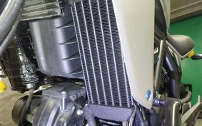 DUCATI SCRAMBLER ICON 2024