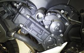 YAMAHA FZ1 FAZER 2010 RN21J