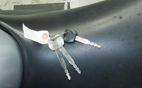 HONDA HORNET 250 MC31