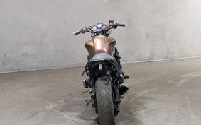YAMAHA FZ1 FAZER RN06
