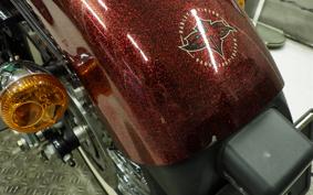 HARLEY XL1200V 2013