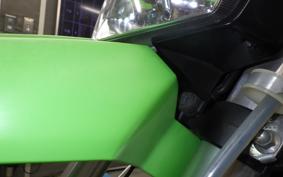 KAWASAKI KLX250 Gen.2 2020 LX250S