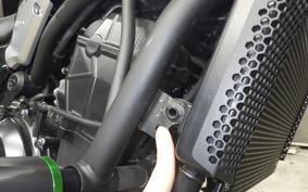 KAWASAKI Z650 RS 2024 ER650R