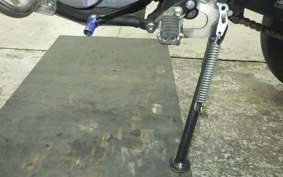 YAMAHA WR250X DG15J