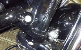 HARLEY FXBB1920 2025