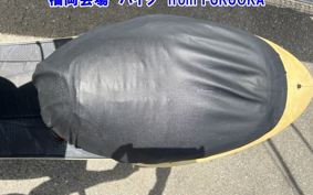 HONDA DIO