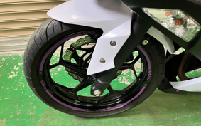 KAWASAKI NINJA 250 EX250L