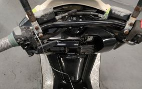 YAMAHA MAXAM 250 SG21J