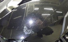 KAWASAKI NINJA 250 EX250P