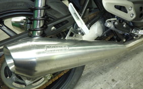 TRIUMPH SPEED TWIN 2019