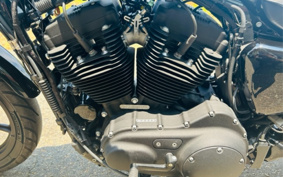 HARLEY  HARLEY XL1200NS 2018 LP3