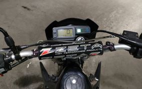 KAWASAKI D-TRACKER LX250E