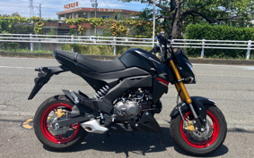 KAWASAKI Z125 PRO BR125H