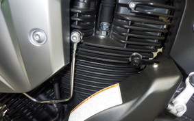 YAMAHA MT-01 S 2009