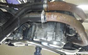 HONDA 250T LA CUSTOM 2024 MC07
