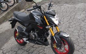 KAWASAKI Z125 PRO BR125H