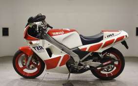 YAMAHA TZR250 2008 1KT