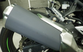 KAWASAKI NINJA 400 2019 EX400G