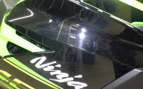KAWASAKI NINJA 400 2019 EX400G