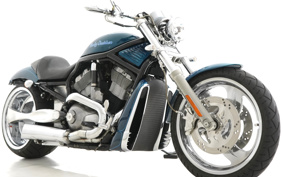 HARLEY VRSCB 2004 HBZ