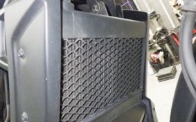 HONDA REBEL 250 A 2022 MC49