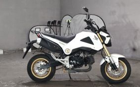 HONDA GU ROM JC61