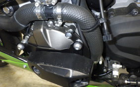 KAWASAKI NINJA ZX-6R A 2023 ZX636G