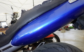 HONDA HORNET 250 MC31