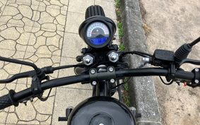 OTHER THUNDER 250