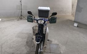 HONDA SUPER CUB110 JA10