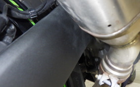 KAWASAKI ZX-4RR 2024 ZX400P